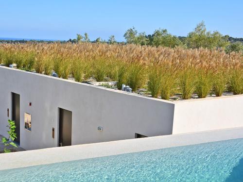 Green roof with ornamental grasses and pool in front